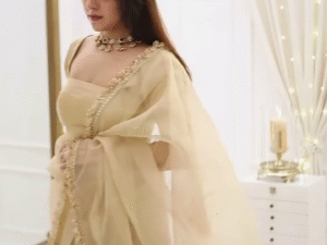 ✨ Classic Fawn Stone Embellished Saree – A Perfect Blend of Grace and Glamour ✨