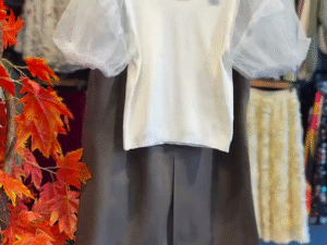 🤍 Ethereal Elegance: White Top with Sheer Organza Puff Sleeves